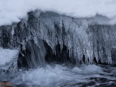 GVANDEVELDE-20140105-2223