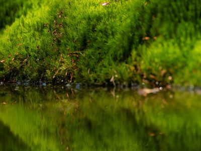 GVANDEVELDE-20150421-2