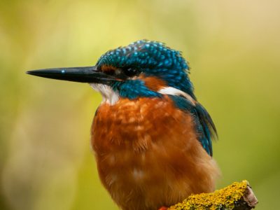GVANDEVELDE-20170923-2618-5