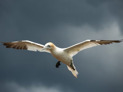GVANDEVELDE-20220608-9289