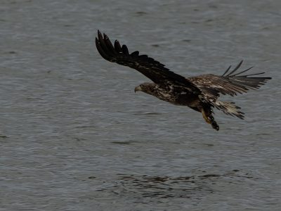GVANDEVELDE-20250228-10