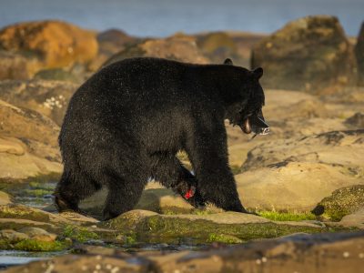 GVANDEVELDE-20190830-3906-4
