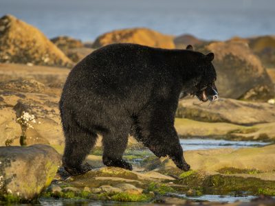 GVANDEVELDE-20190830-3906